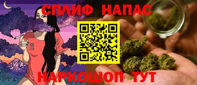 spice Ярославль