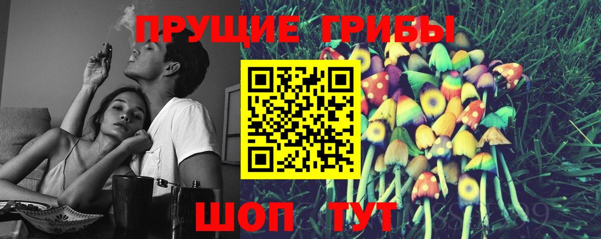 Псилоцибиновые грибы мицелий  Псилоцибиновые грибы прущие грибы  Вход с VPN  Великий Устюг 